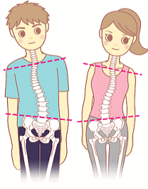 背骨 骨盤 身体の歪みねじれは不調や病気の原因